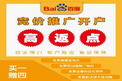 百度竞价推广公司经典案例研究：广告效果最大化策略